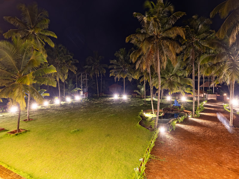 Garden - night view